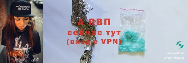ECSTASY Ладушкин