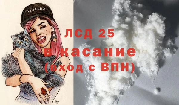 ECSTASY Ладушкин