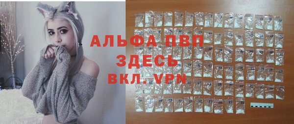 бошки Лабытнанги