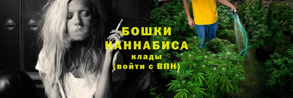 бошки Лабытнанги