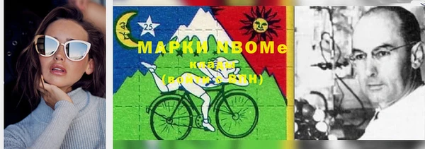 ECSTASY Ладушкин