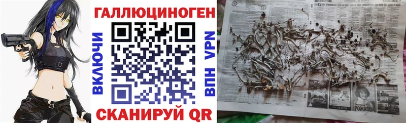 Купить где  Долинск  Галлюциногенные грибы прущие грибы 